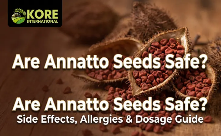 How to Use Nigella Sativa Seeds Daily (Safe Dosage & Tips)