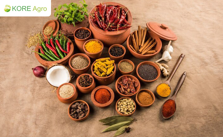Best 10 Indian Spices and How to Use Them