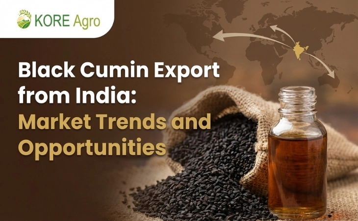 Black Cumin Export from India