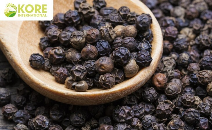 Check Out Complete Details of The Black Pepper Exporter to Buy Real Spices