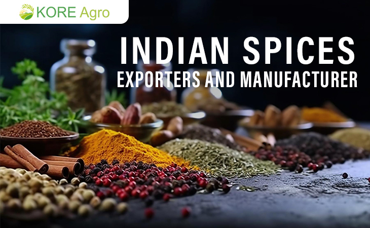 Indian Spices Exporters and Manufacturer