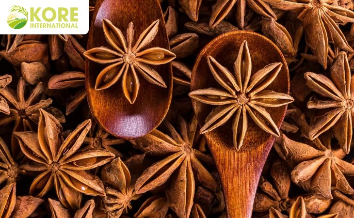 Leading Supplier and Exporter of Star Anise